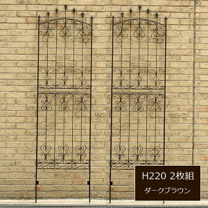 ACAtFX _[NuE 2g ACA[YtFX220 IFROSE-220-2P kC{3000~ ysz