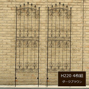 ACAtFX ACA[YtFX220 _[NuE 4g IFROSE-220-4P kC{3000~ ysz