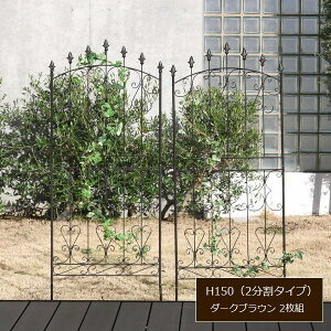 ACAtFX [^Cv _[NuE 2g ACA[YtFX150 RS012L-2P-DBR kC{3000~ ysz