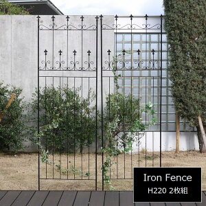 ACAtFX I[hVg[tFX220 nC^Cv 2g ubN OC001H-2P-BLK kC{3000~ ysz