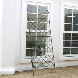 O[tFX ubN 80cm ACAO[J[e A[KC IF-GC011BLK kC{3000~  悯 ysz