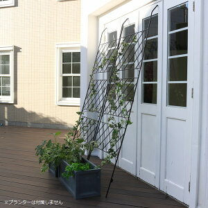 O[tFX ubN 80cm 2g ACA A[KC IFGC011-2P-BLK kC{3000~  悯 ysz