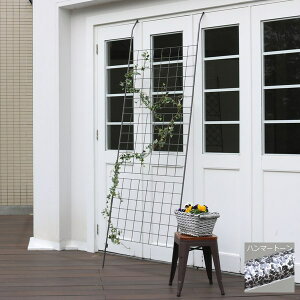 O[tFX 80cm ACAO[J[e Ot IF-GC014SLV kC{3000~  悯 ysz