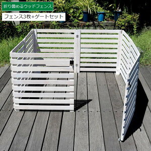 {[_[tFX ؐ u tFX3+Q[gZbg  zCg (WF-142YKGS-WHT) ܂߂EbhtFX kC{3000~ ysz