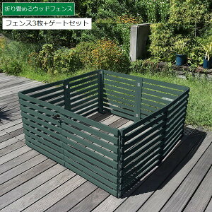 {[_[tFX ؐ u tFX3+Q[gZbg  _[NO[ (WF-142YKGS-DGN) ܂߂EbhtFX kC{3000~ ysz