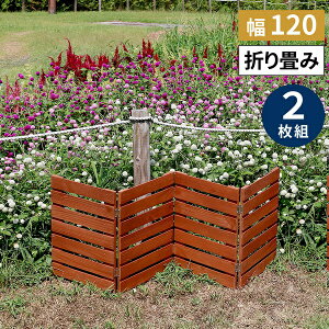 {[_[tFX ؐ 2g CguE (WF-120YK-2P-LBR) u ܂߂~jEbhtFX kC{1500~ ysz