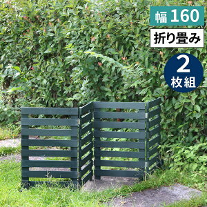 {[_[tFX ؐ 161×61cm 2g _[NO[ (WF-160YK-2P-DGN) u ܂߂EbhtFX160 kC{3000~ ysz