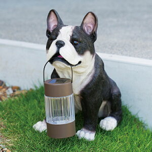 \[[I[ig LED t`uhbO (SR-0891)   Cg Ɩ u kCEEzs ysz