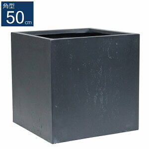 �v�����^�[ �p�^50cm �O���[ (TEX-500C-GRY) ���������L�� TEXTURE ���k�C���{3000�~ �y����s�z
