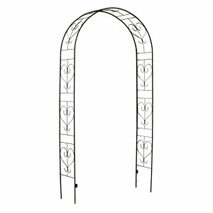 K[fA[` ACAA[` Blossom Heart _[NuY (IA-BH005DBZ) kC{3000~ ysz