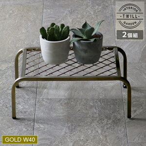 �A�C�A���v�����^�[�X�^���h�uTWILL�v(�c�C��) ���T�C�Y�@2�g �S�[���h (TW004-2P-GLD) ���k�C���E����E�����z���s�� �y����s�z