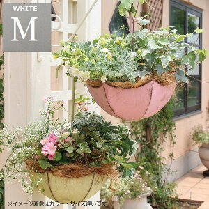 Aؔ ݂艺|bg Au|bgM zCg (5700) kCEEzs