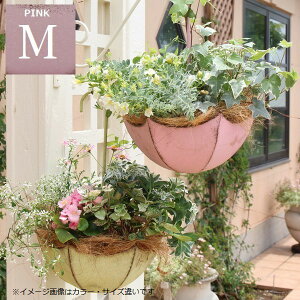 Aؔ ݂艺|bg Au|bgM sN (5701) 24.5cm 10.5(38.5)cm kCEEzs