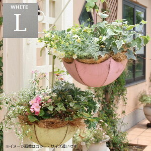 Aؔ ݂艺|bg Au|bgL zCg (5705) 36cm 19.5(55)cm kCEEzs