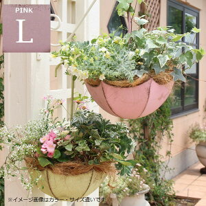 Aؔ ݂艺|bg Au|bgL sN (5706) 36cm 19.5(55)cm kCEEzs