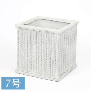 Aؔ XNGA|bg jbg7 zCg (3749) 27cm 27cm kCEEzs