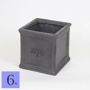 �A�ؔ� �����` �X�N�G�A�|�b�g �t�H���X�g6�� �u���e�B�b�V���O���[ (3745) ��22cm ����22cm ���k�C���E����E�����z���s��