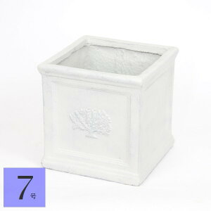 Aؔ ` XNGA|bg tHXg7 zCg (3741) 27cm 27cm kCEEzs