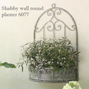 v^[ Ǌ| 36cm 52cm Vr[EH[Ehv^[ (6077) ACA kCEEzs