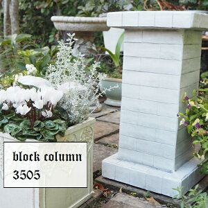 v^[X^h ubNR (3505) t[X^h ԑ Β kCEEzs