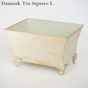 Aؔ v^[ _}XNeBXNGAL zCg (5455) kCEEzs