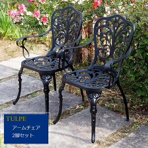 yZ[ |Cg2{z K[f`FA 2rZbg It A~A[`FA gy }bgubN (BKS-C5289-2P-BLK) kC{1500~ yJ[hόz