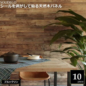 Ǎ VR؃pl ubN 10gi1.5) SOLIDECO SLDCPR-10P-007BRN kC{3000~ ysz