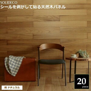 Ǎ VR؃pl  i` 20gi3) SOLIDECO SLDC-20P-001KRI kC{3000~ ysz