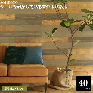 Ǎ VR؃pl GCWO 40gi6) SOLIDECO SLDC-40P-004ASB kC{3000~ ysz