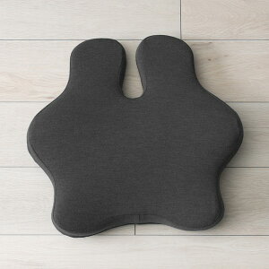 NbV tB[X ƔwT|[gNbV 45×45cm ysz V