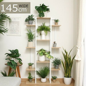 I t[X^h p Ch zCg (63764) fBXvCX^h kC+3000~ V ysz