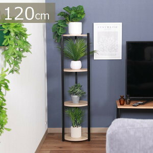 I t[X^h p4i ubN (63773) fBXvCX^h kC+1800~ V ysz