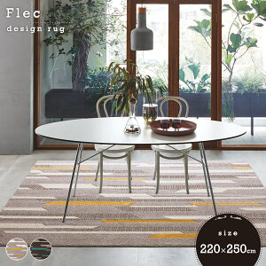 _CjOO tbN 220×250cm X~mG H { [J[݌Ɍ ysz Ezs