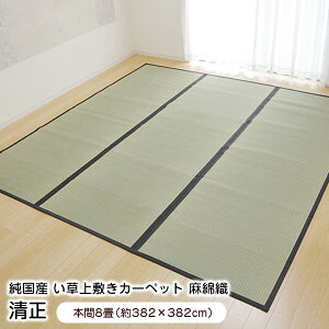 ~ 8  {8 (382×382cm)  O Y (6309188) ysz