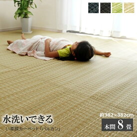 ラグ バルカン 本間8畳 （約382×382cm） い草風 PP 洗える 日本製 【代引不可】