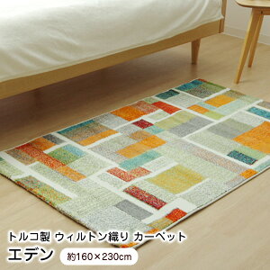 yZ[{|Cg2{ 10/30܂Łz O 160×230cm Gf EBgD R hL gR ysz
