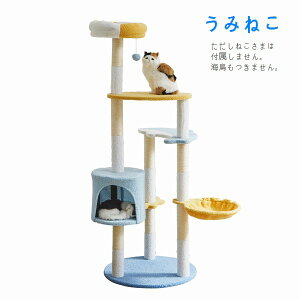 Lbg^[ u^ 155cm ݂˂ kCEEzs ysz