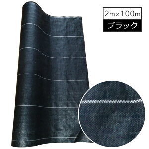 hV[g CXBKV[g ij 2×100m Gh~ kCEEʓr _Ǝ | K[fjO ԏ