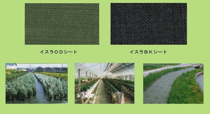 楽天市場】防草シート イスラODシート （グリーン） 2×100m 雑草防止 