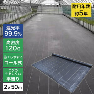 yՌ99.9%zxhV[g  1×10m/1×50m/2×10m/2×50m EG΍ |Eƒ؉ElHŉp Ezs