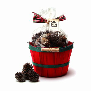 MtgoXPbg ڂ SGB gX dXg[u ANZT[ ysz