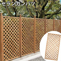 楽天市場】ラティス 90 180の通販