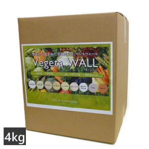  p Ǎ xW^EH[ 4kg (2.5`3.5) Vegeta WALL { kCEEzs
