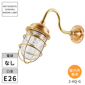 {DƖ }v 2ANACgS[h NA[h 2-AQ-G kCEEzs ysz