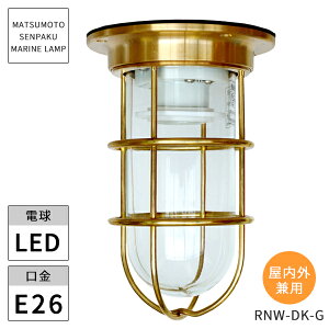 {DƖ }v RNEWfbLS[h RNW-DK-G LED kCEEzs ysz