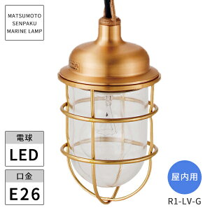 {DƖ }v p R1rOCgS[h R1-LV-G LED kCEEzs ysz