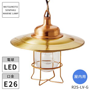 {DƖ }v p R2S^rOCgS[h R2S-LV-G LED kCEEzs ysz