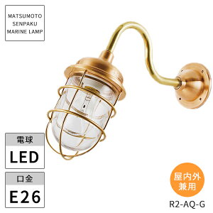 {DƖ }v R2ANACgS[h NA[h R2-AQ-G LED kCEEzs ysz