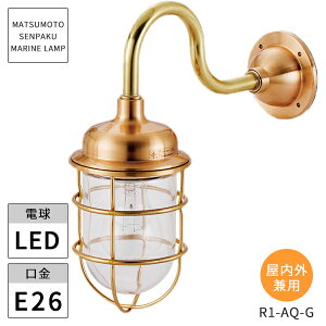 {DƖ }v R1ANACgS[h NA[h R1-AQ-G LED kCEEzs ysz