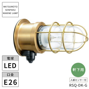 {DƖ }v RZT[QfbLS[h NA[h LEDvt RSQ-DK-G kCEEzs ysz